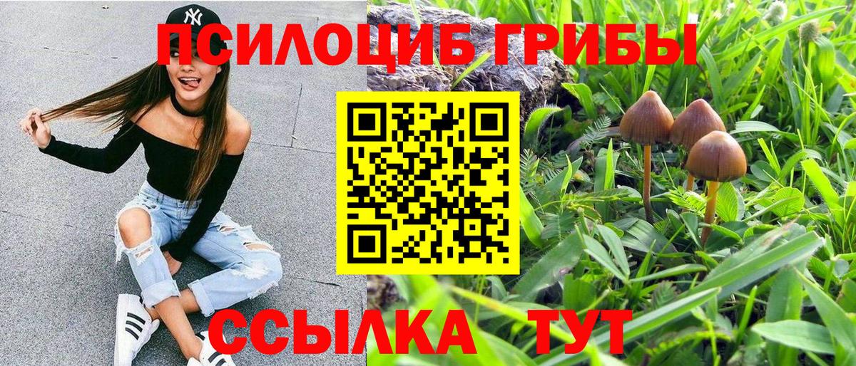 Псилоцибиновые грибы Cubensis  Вход с VPN  Верхняя Пышма 