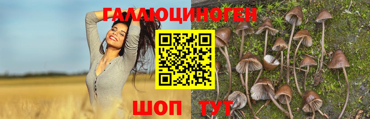 Верхняя Пышма  ЭКСТАЗИ  Каннабис  Вход с VPN  NBOMe  Гашиш  МЕФ   А ПВП СК кристаллы 