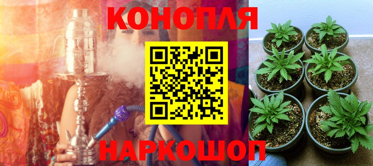 Конопля тримм  МАРИХУАНА Amnesia  Вход с VPN  Верхняя Пышма  Канабис семена 